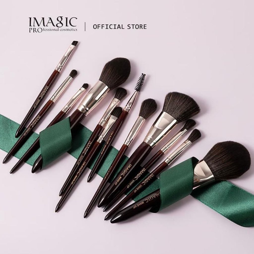 Imagic 12 pcs Brush Set